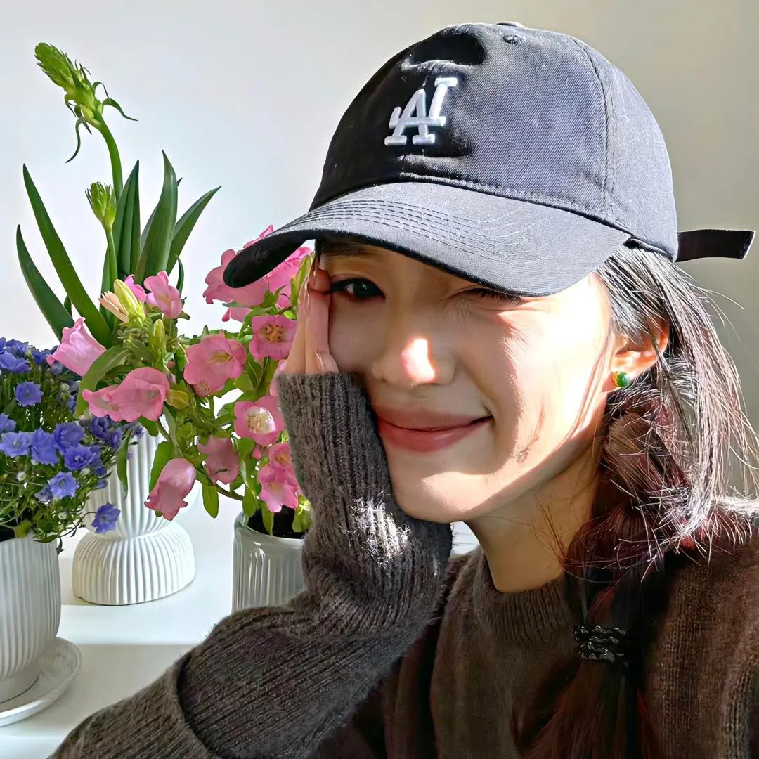 朵儿的战争